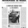 Camminare insieme verso la fraternità